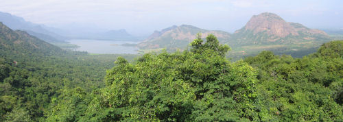 Tamil Nadu, Palani Hills