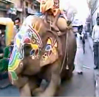 Inidischer Elefant im Straßenverkehr