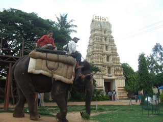 Indische Symbole: der Elefant ist den Göttern nah