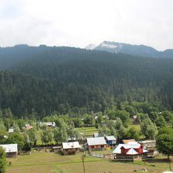 Jammu und Kashmir - bewaldete Gegend 